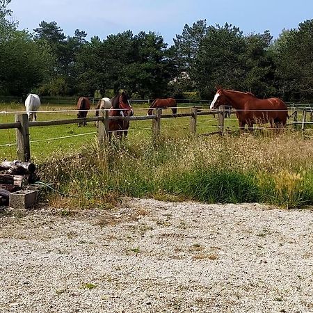 Le Gite De La Ferme Portbail Exteriér fotografie