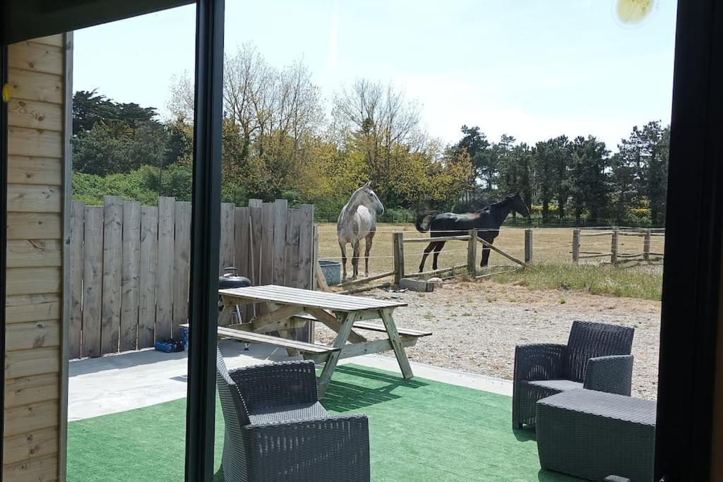 Le Gite De La Ferme Portbail Exteriér fotografie